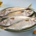 Indian Mackerel / ماكريل / Ayala