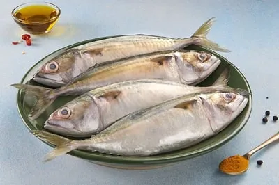 Indian Mackerel / ماكريل / Ayala
