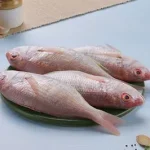 Pink Perch / سمك بربوني / Sultan Ibrahim