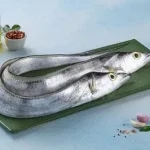 Ribbon Fish / سمك السيوف / Belt Fish