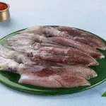 Squid / غطرو / Koonthal