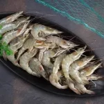 Prawns / روبيان / Venami